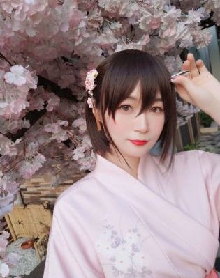 兔子先生绫波丽