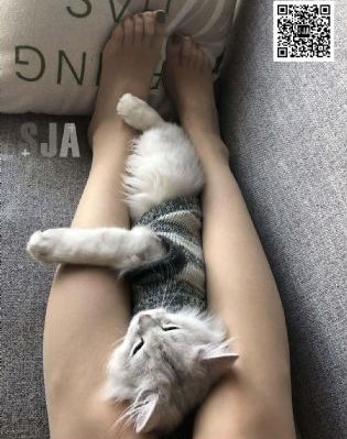 继母日本
