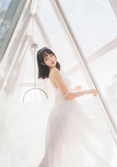 篱笆女人和狗