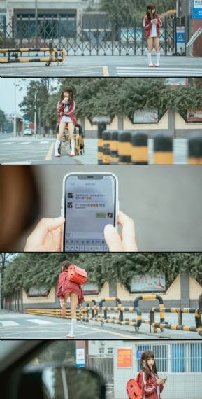 小鼠活体成像