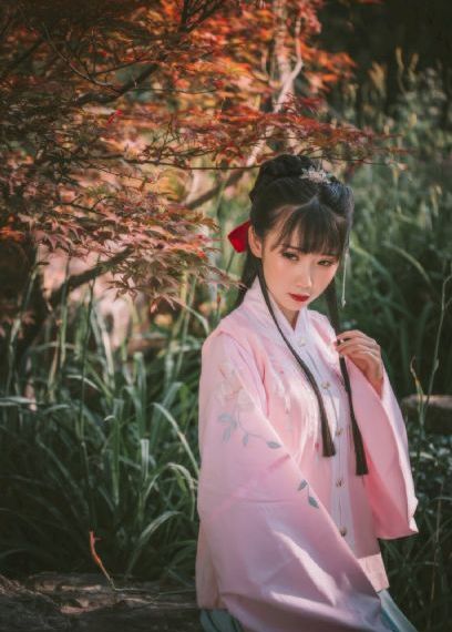 羞答答的玫瑰