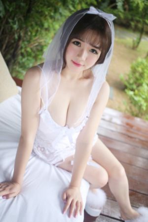 紫川动漫第二季