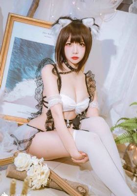 极品家丁电视剧高清全集免费