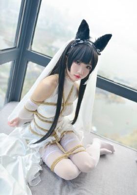 宇宙护卫队第二季免费版